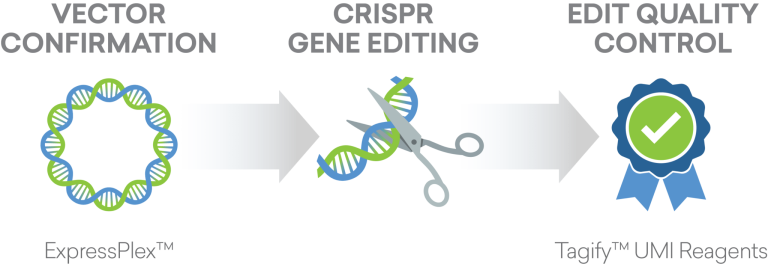 Gene-Editing-QC1-2048x703 (1)