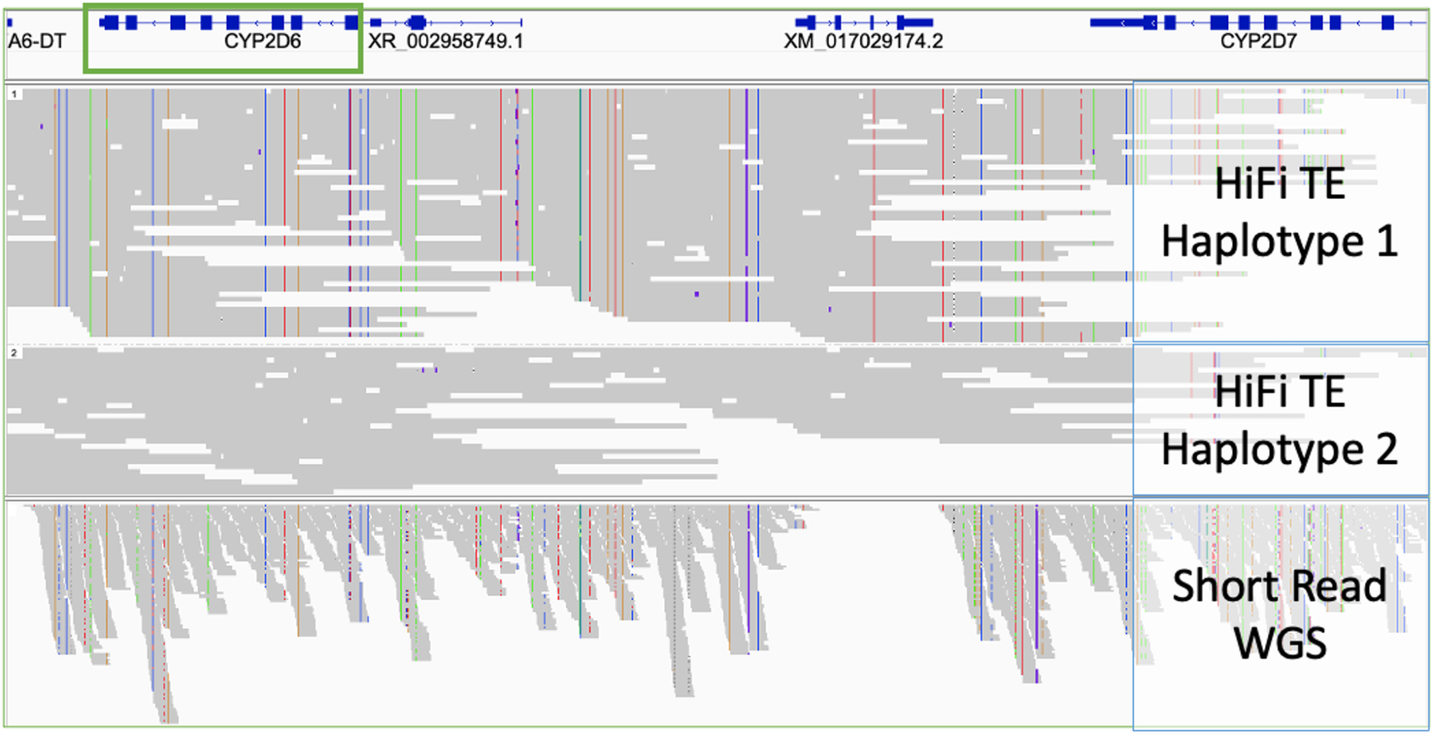 Long Read Sequencing - Decode Science