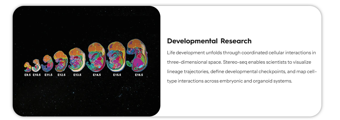 Developmental Research