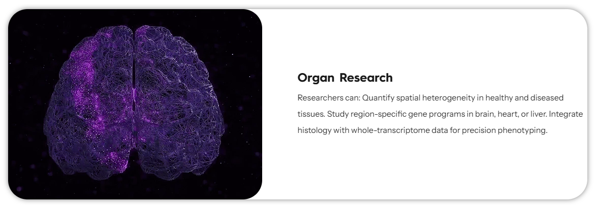 Organ Research