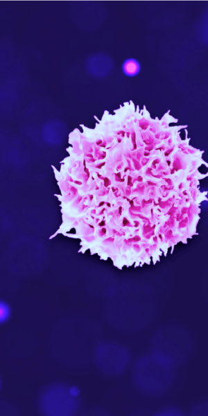 T-cell-image.png