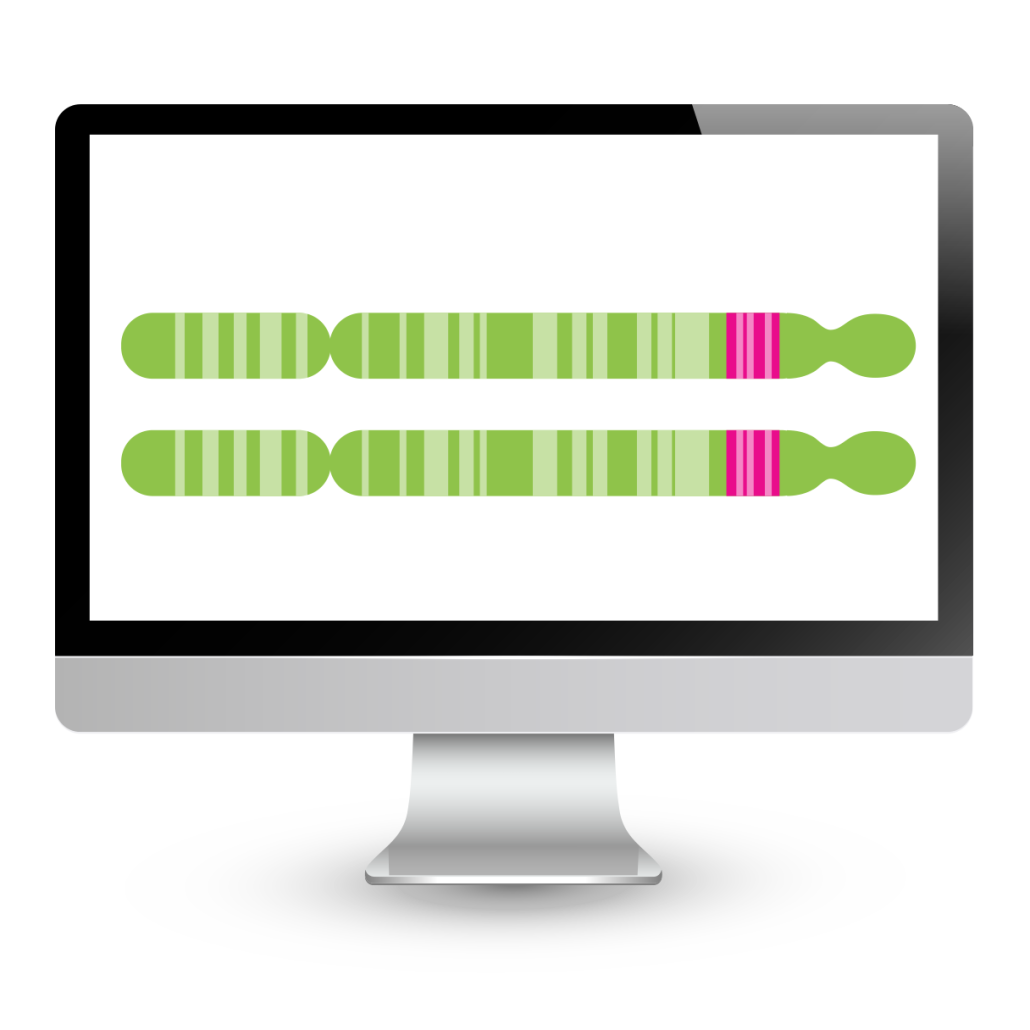 Enfocus Analysis