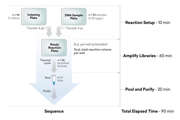 ExpressPlex-Workflow-1024x682