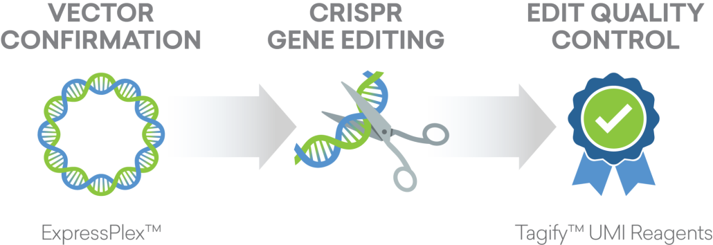 Gene Editing QC seqWell