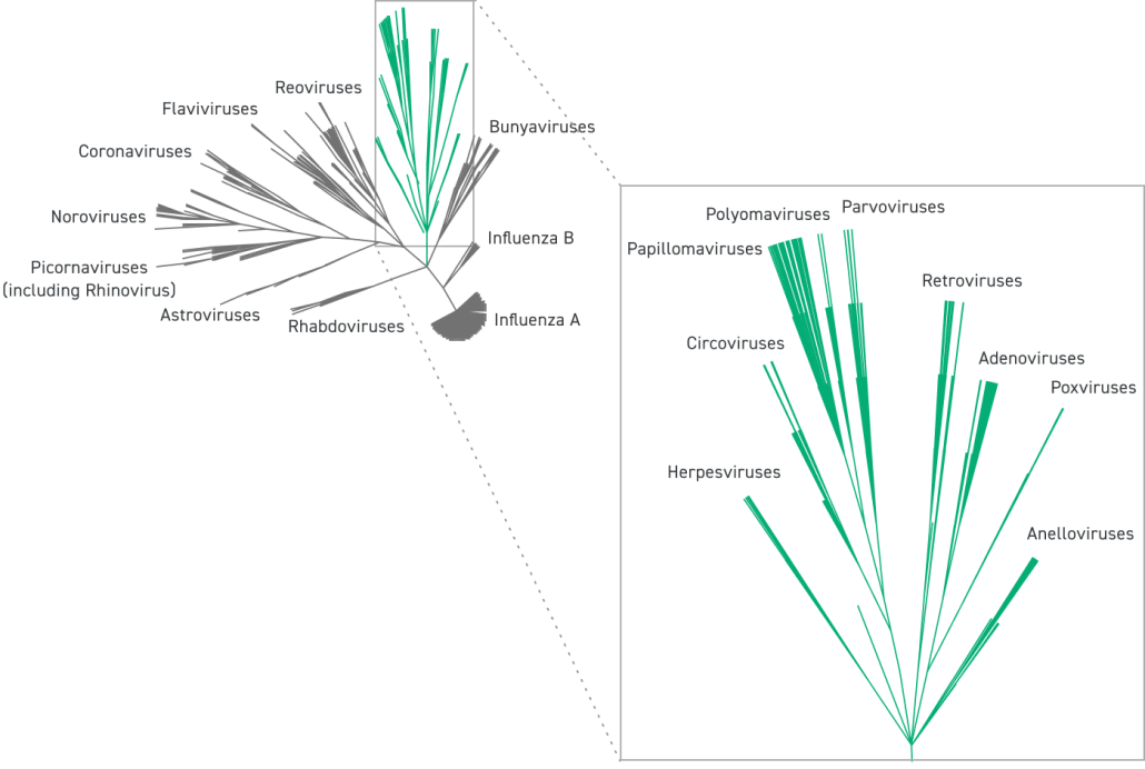 NGS-Fixed-Panel-Comp-Virus-Research-Tree-2