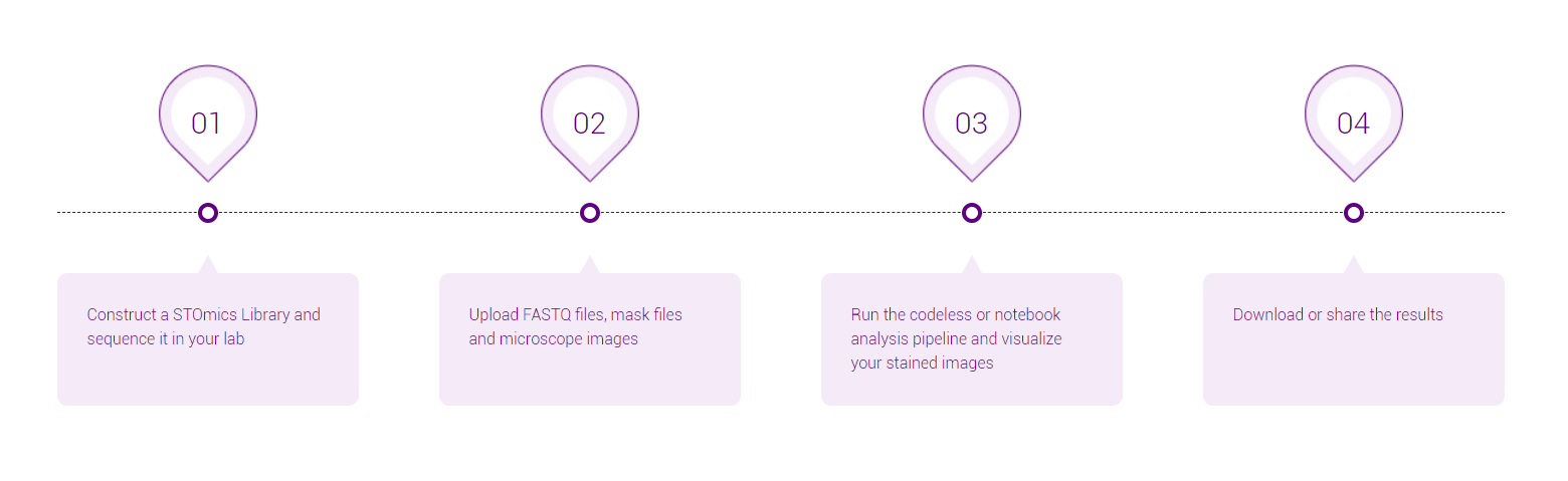 STOmics Cloud Workflow