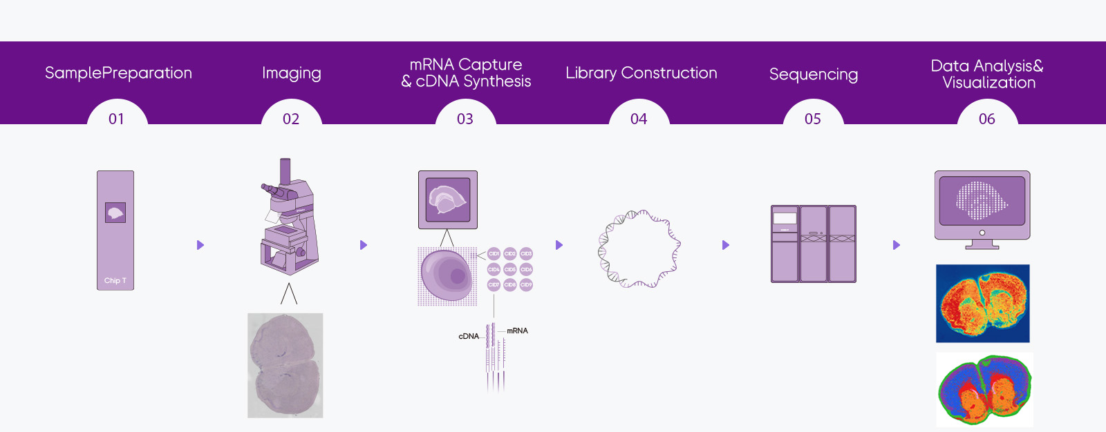 Stereo-seq Transcriptomics H&E solution workflow