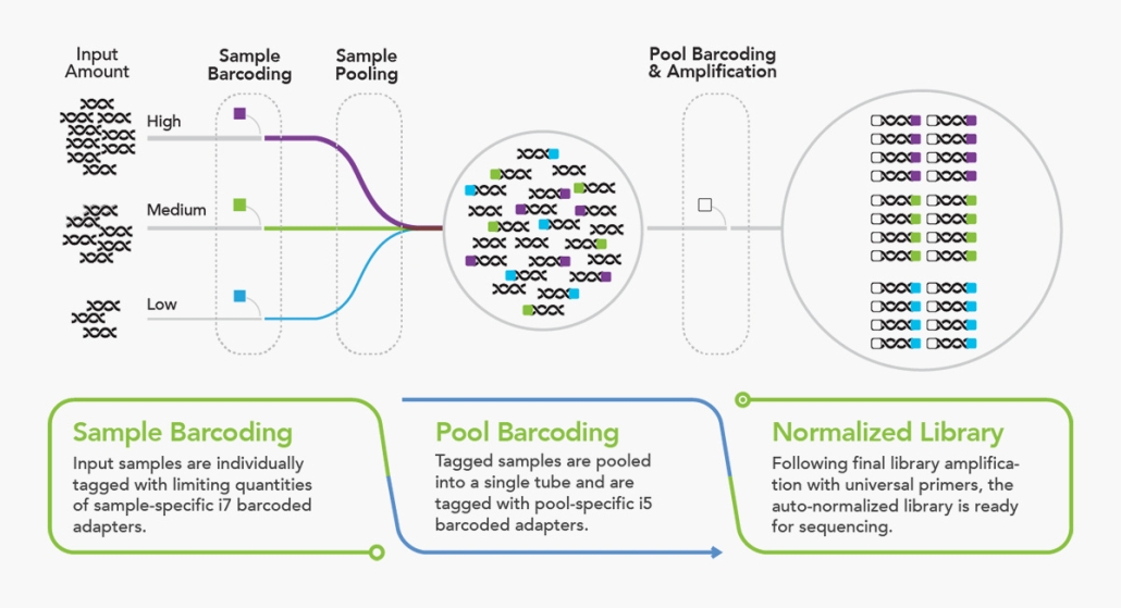 seqWell workflow