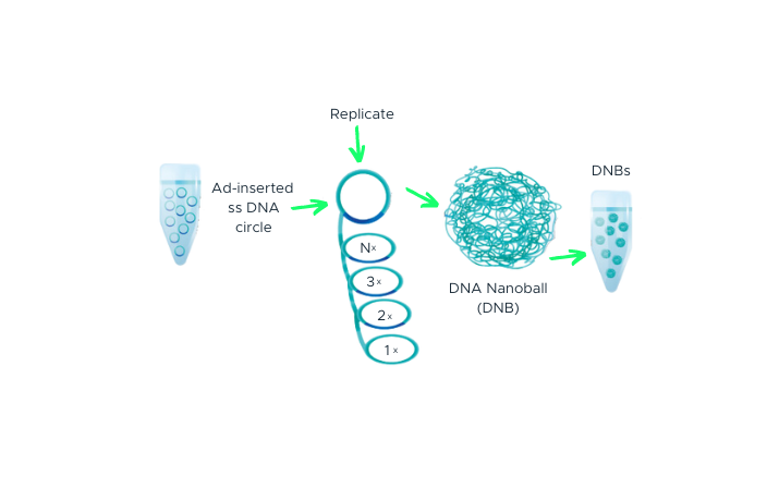 DNA Making