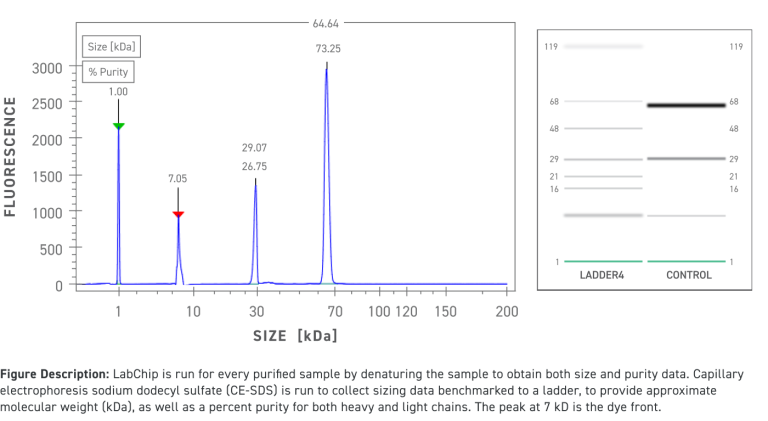 High-purity-antibody-stocks (1)