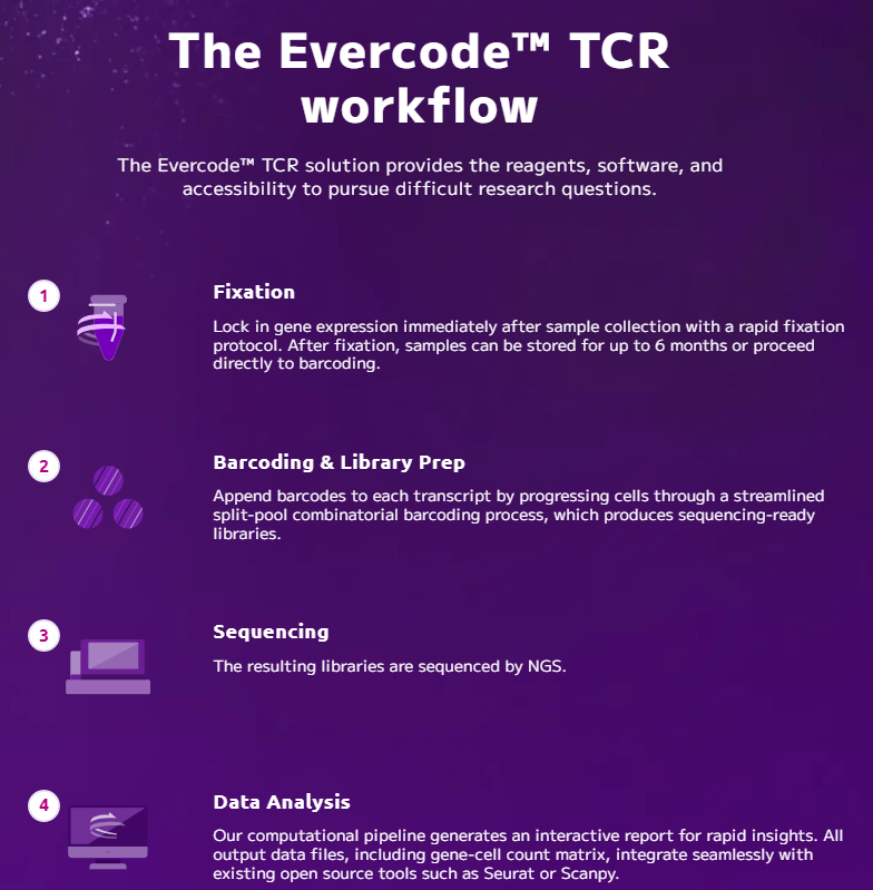 tcr parse workflow