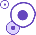 Transcriptomics mIF solution