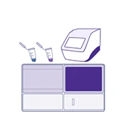 Library Construction & sequencing - STOmics